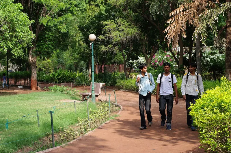 A morning walk in Law Garden, Ahmedabad