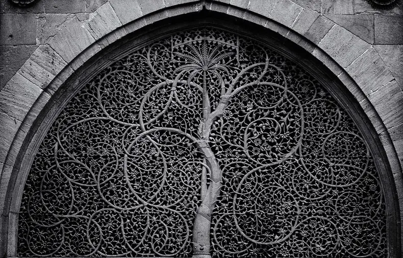 Sidi Saiyyed Mosque Tree of Life jali, Ahmedabad